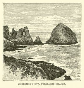 Baia dei Pescatori, Isole Farallone da English School