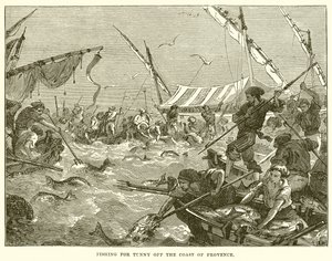 Pesca del tonno al largo della costa della Provenza da English School