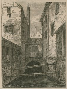 Canale Fleet