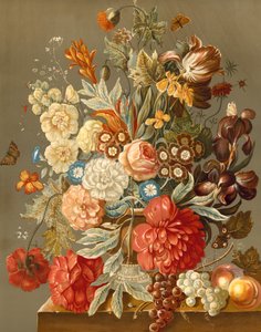Esposizione floreale