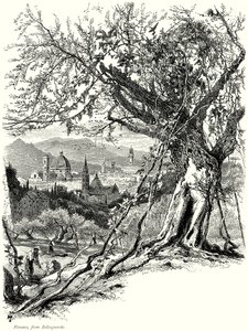 Firenze, da Bellosguardo (incisione)
