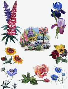 Fiori da English School