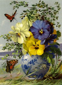 Fiori e farfalla da English School