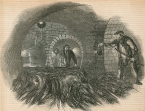Pulizia delle fogne da English School