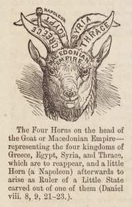 Quattro corna sulla testa della capra (incisione) da English School