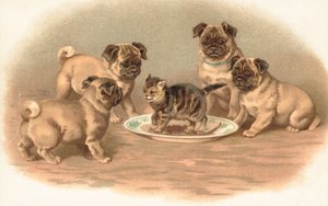 Quattro cani carlini seduti intorno a un gattino su un piatto da English School