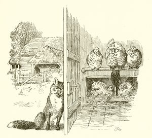 Volpe fuori dal pollaio