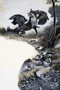Fox sotto attacco