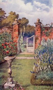 Fragranza nel giardino delle erbe