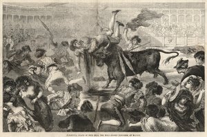 Morte spaventosa di Pepe Hilo, il noto torero a Madrid da English School