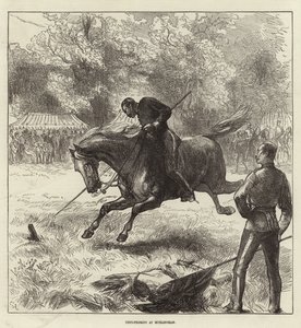 Copertina del Illustrated London News, 12 giugno 1875 da English School