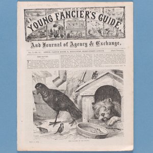 Frontespizio da The Young Fanciers Guide, 1874 da English School