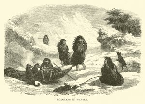 Fuegini in inverno