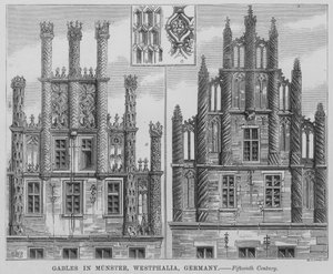 Guglie a Munster, Vestfalia, Germania da English School
