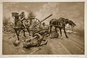 Gallipoli: Cavalli salvati dai Munster Fusiliers da un carro distrutto dal fuoco turco, 1914-19
