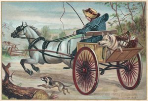 Cavallo al galoppo e carro da English School