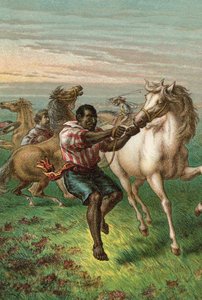I soldati di Garibaldi che domano cavalli selvaggi da English School