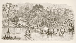 Le truppe del generale Sherman attraversano il fiume Edisto durante la Marcia verso il Mare (litografia)