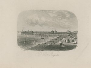 Veduta generale del nuovo molo di Brighton da English School