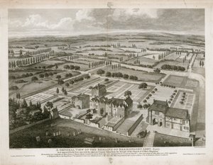 Veduta generale dei resti dell