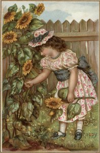Ragazza che raccoglie girasoli in un giardino da English School