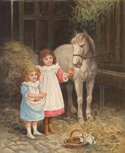 Ragazze che Nutrono un Cavallo da Compagnia con Mele