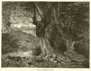 Radura a Burnham Beeches (incisione)