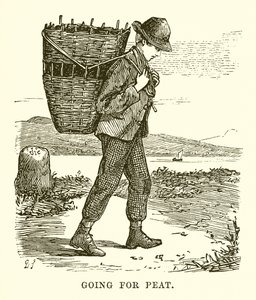 Raccolta della torba