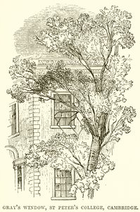 Finestra di Gray, St. Peter