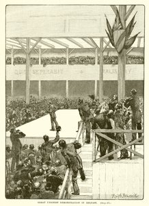Grande dimostrazione unionista a Belfast, 1890 da English School