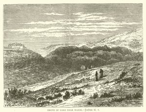 Bosco di Querce vicino a Hazor, Giosuè, xi da English School