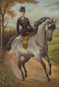SAR la Principessa del Galles da English School