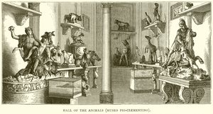 Sala degli Animali (Museo Pio-Clementino) da English School