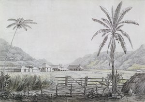 Halse Hall, Giamaica, c.1780 da English School