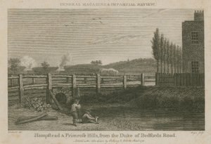 Hampstead e Primrose Hills, dalla strada del Duca di Bedford