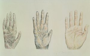 Mani di un primate e di un umano