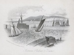 Porto e città, Swansea, Galles (incisione)