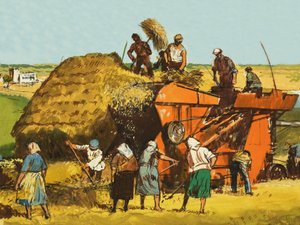 Raccolta del grano da English School
