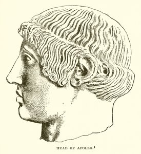 Testa di Apollo