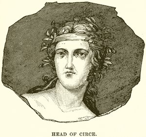 Testa di Circe da English School