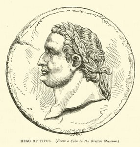 Testa di Tito da English School