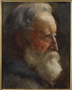Testa di un Uomo