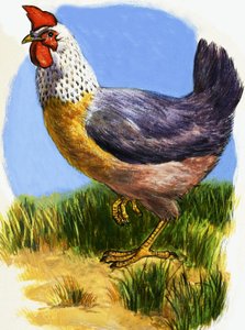 Gallina da English School