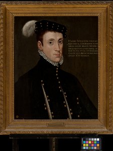 Enrico Fitzalan, Lord Maltravers (1538-1556)