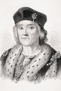 Enrico VII d