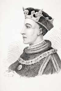 Enrico V d