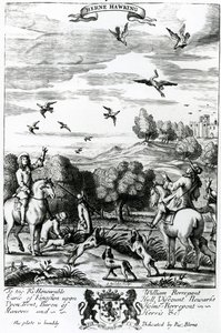 Herne che caccia con il falco, da 