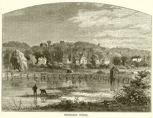 Laghi di Highgate da English School