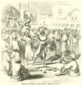 Incantatori di serpenti indù, Salmo, lviii, 5 da English School