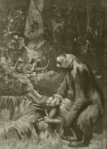 Casa del gorilla (incisione) da English School